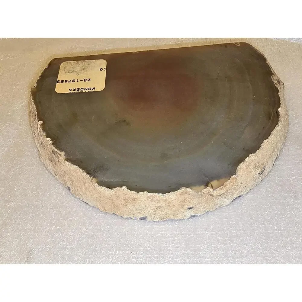 Large Natural Slice Agate Polished North Shore Round Geode 5" - Picture 3 of 3